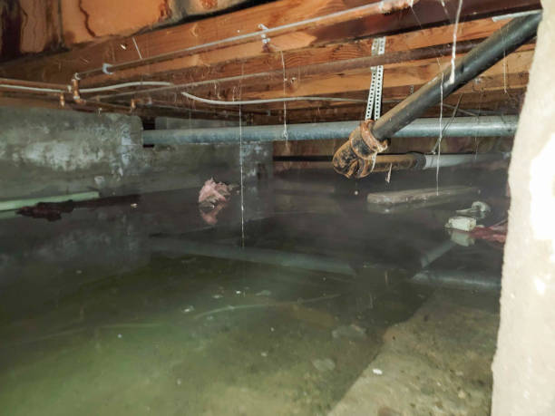 Best Basement water damage restoration  in Cleburne, TX