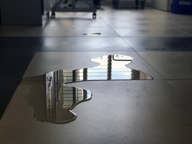 Best Water damage restoration near me  in Cleburne, TX