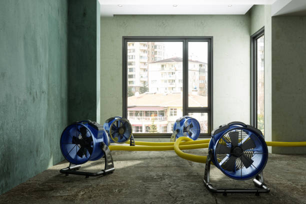 Best Residential water damage restoration  in Cleburne, TX