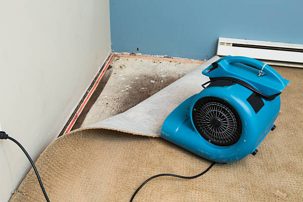 Best Water damage cleanup near me  in Cleburne, TX